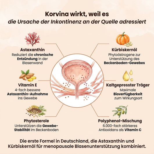 Korvina™ Inkontinenz-Protokoll